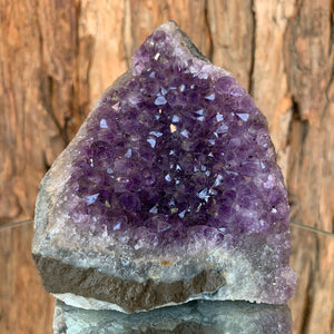 10cm 618g Amethyst Cluster from Uruguay