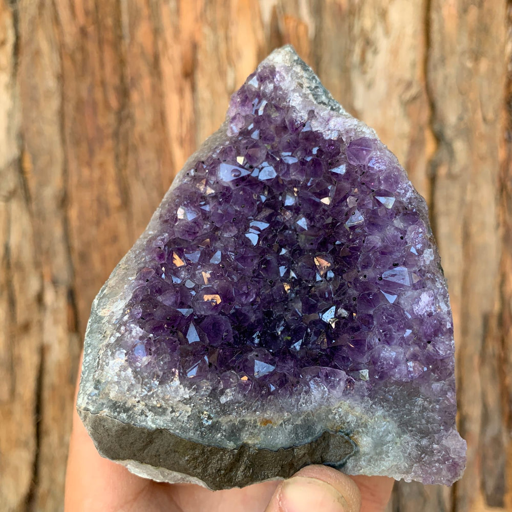 10cm 618g Amethyst Cluster from Uruguay