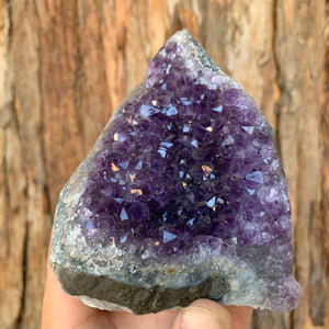 10cm 618g Amethyst Cluster from Uruguay