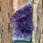 12cm 908g Amethyst Cluster from Uruguay