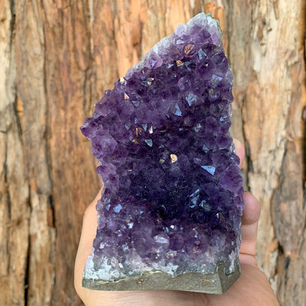 
            
                Load image into Gallery viewer, 12cm 908g Amethyst Cluster from Uruguay
            
        