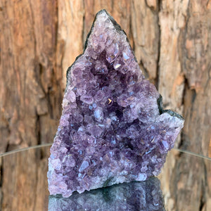 9.7cm 346g Amethyst Cluster from Uruguay