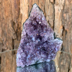 
            
                Load image into Gallery viewer, 9.7cm 346g Amethyst Cluster from Uruguay
            
        