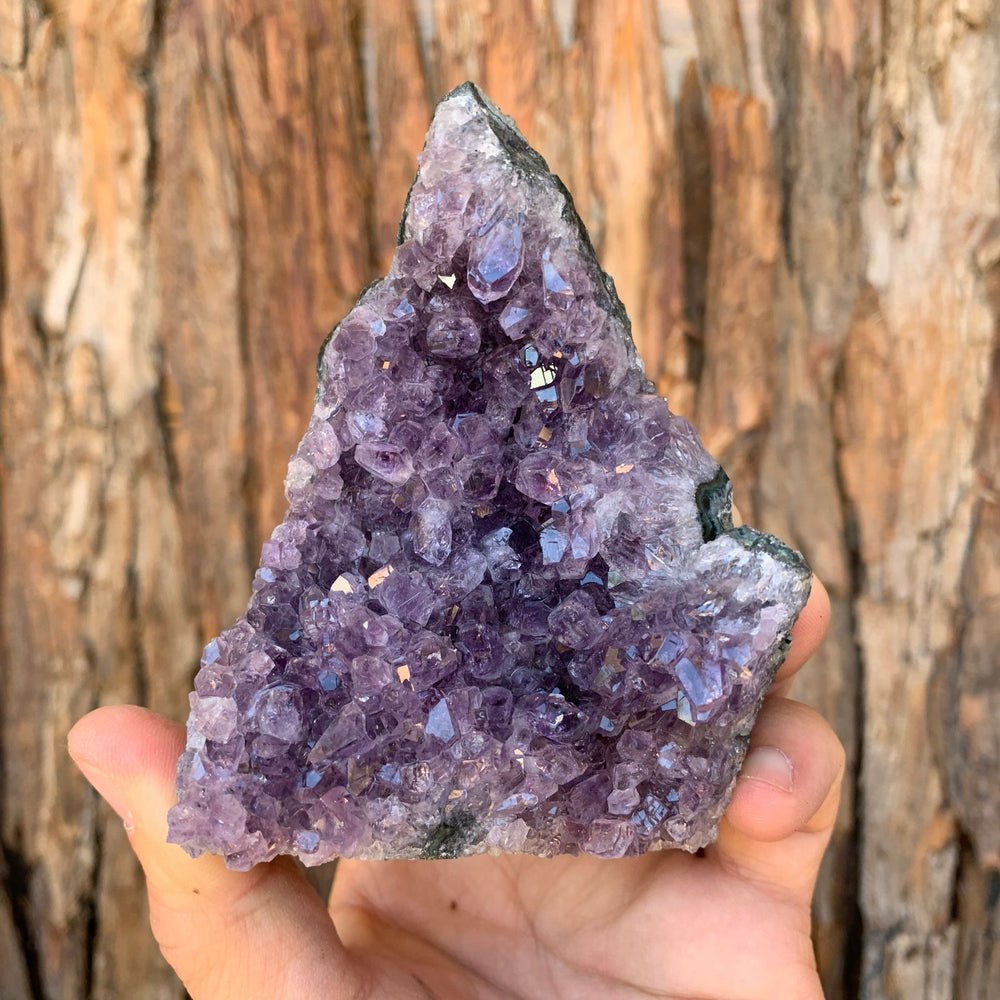 9.7cm 346g Amethyst Cluster from Uruguay