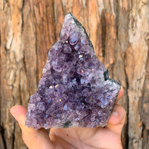 9.7cm 346g Amethyst Cluster from Uruguay