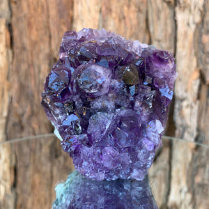 8cm 426g Amethyst Cluster from Uruguay
