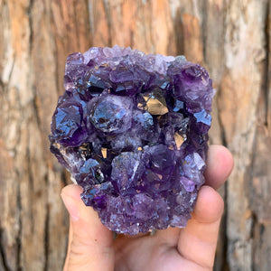 
            
                Load image into Gallery viewer, 8cm 426g Amethyst Cluster from Uruguay
            
        