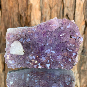 9cm 284g Amethyst Cluster from Uruguay
