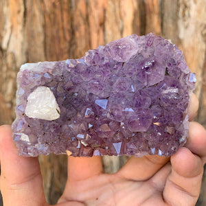 9cm 284g Amethyst Cluster from Uruguay