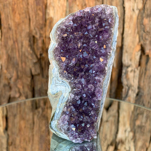 9.5cm 320g Amethyst Cluster from Uruguay