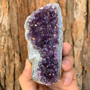 9.5cm 320g Amethyst Cluster from Uruguay