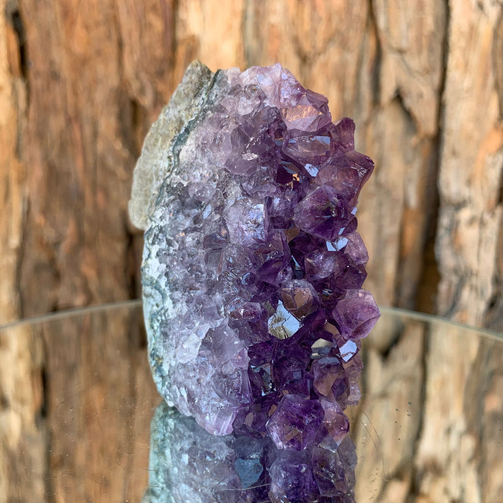 7.5cm 264g Amethyst Cluster from Uruguay