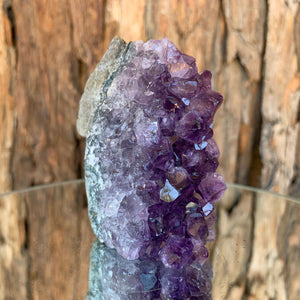 7.5cm 264g Amethyst Cluster from Uruguay