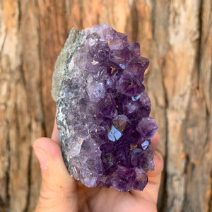7.5cm 264g Amethyst Cluster from Uruguay