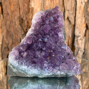 
            
                Load image into Gallery viewer, 10cm 510g Amethyst Cluster from Uruguay
            
        