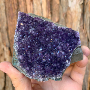 9cm 456g Amethyst Cluster from Uruguay