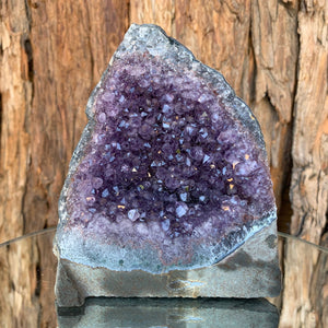 11.5cm 518g Amethyst Cluster from Uruguay