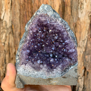 11.5cm 518g Amethyst Cluster from Uruguay