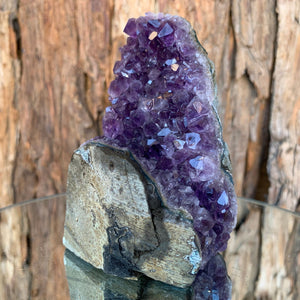 10.5cm 626g Amethyst Cluster from Uruguay