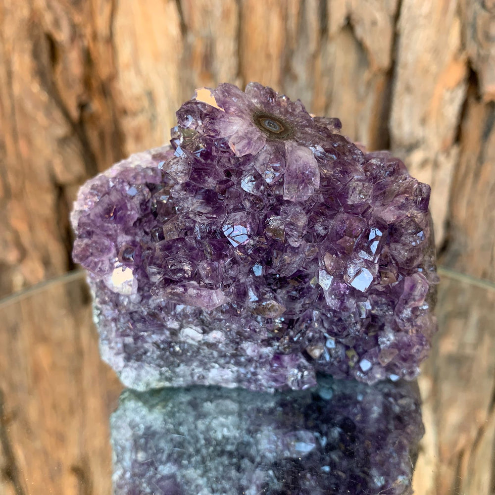 8.5cm 428g Amethyst Cluster from Uruguay