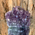 8.5cm 428g Amethyst Cluster from Uruguay