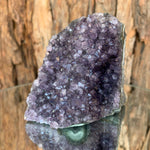 7.5cm 398g Amethyst Cluster from Uruguay