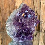 10cm 402g Amethyst Cluster from Uruguay