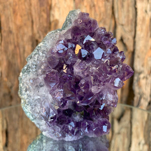 10cm 402g Amethyst Cluster from Uruguay