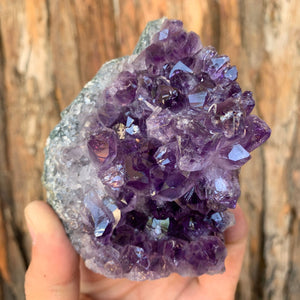 10cm 402g Amethyst Cluster from Uruguay