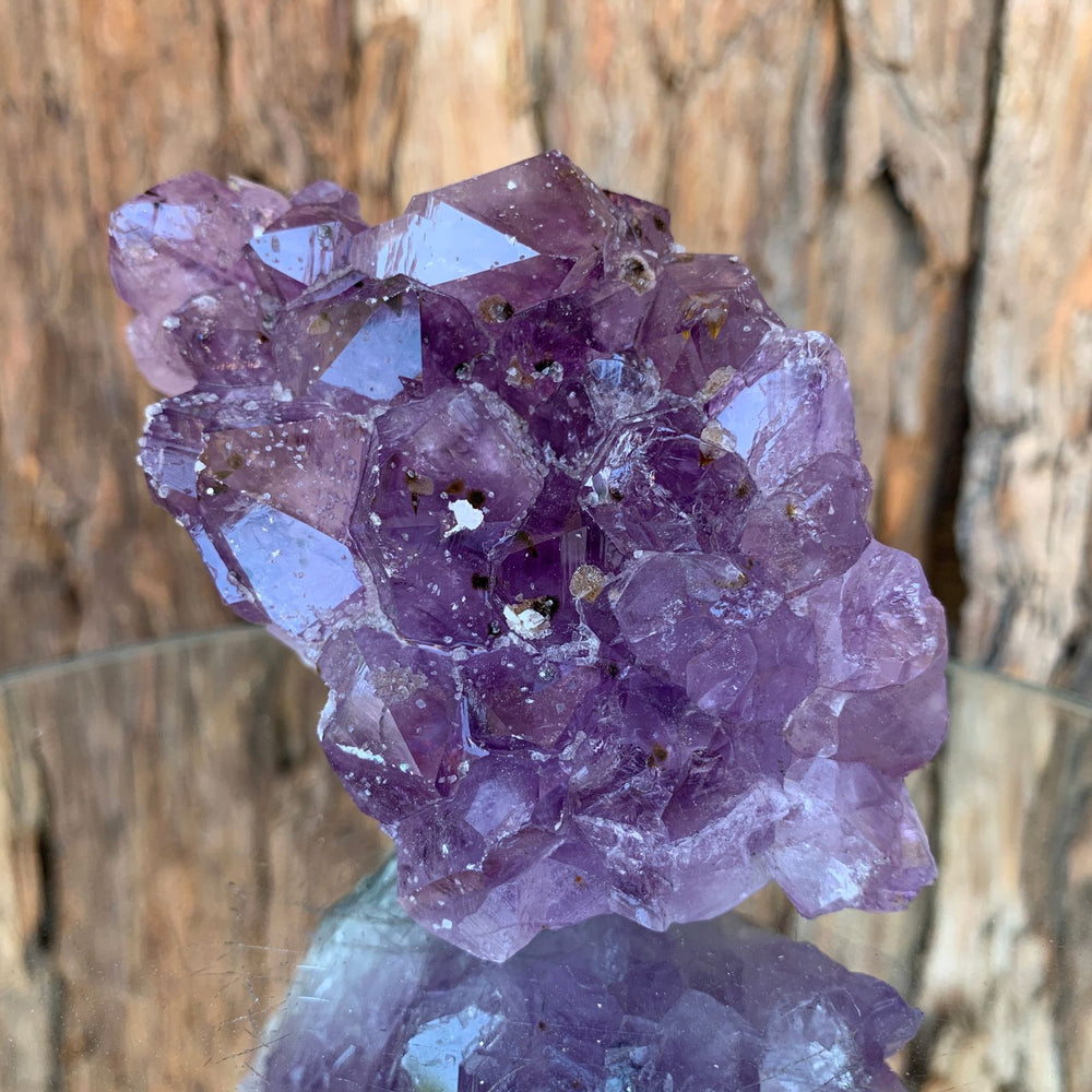 10.5cm 442g Amethyst Cluster from Uruguay