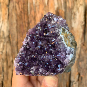 8cm 332g Amethyst Cluster from Uruguay