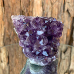 7.5cm 266g Amethyst Cluster from Uruguay