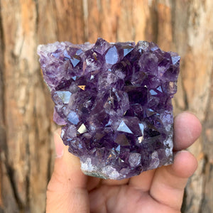 7.5cm 266g Amethyst Cluster from Uruguay