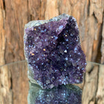 7.5cm 286g Amethyst Cluster from Uruguay