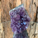 7.5cm 206g Amethyst Cluster from Uruguay