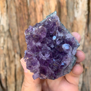 7.5cm 206g Amethyst Cluster from Uruguay