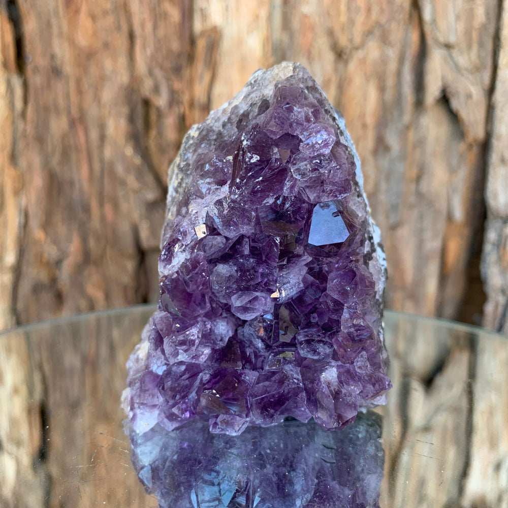 7.5cm 252g Amethyst Cluster from Uruguay