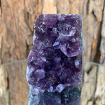 7cm 314g Amethyst Cluster from Uruguay