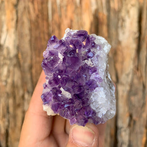 6cm 212g Amethyst Cluster from Uruguay