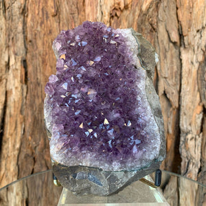 13cm 740g Amethyst Cluster from Uruguay