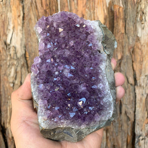 13cm 740g Amethyst Cluster from Uruguay