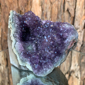 9cm 584g Amethyst Cluster from Uruguay