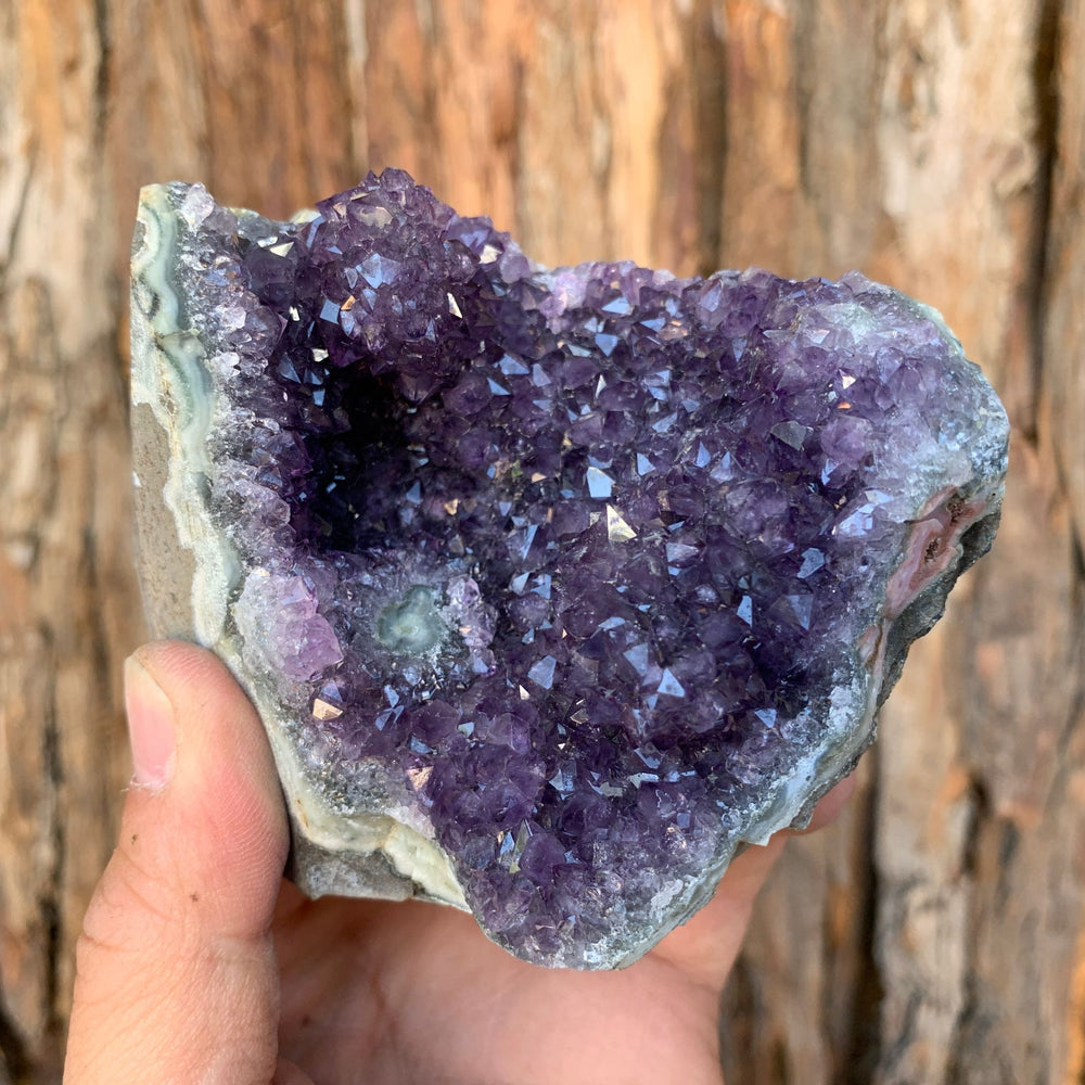 9cm 584g Amethyst Cluster from Uruguay