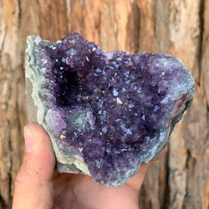 9cm 584g Amethyst Cluster from Uruguay