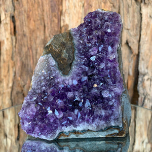 11cm 758g Amethyst Cluster from Uruguay