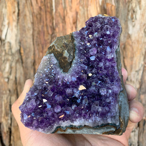 
            
                Load image into Gallery viewer, 11cm 758g Amethyst Cluster from Uruguay
            
        