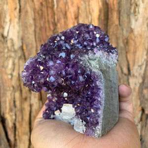 
            
                Load image into Gallery viewer, 11cm 1.13kg Amethyst Cluster from Uruguay
            
        