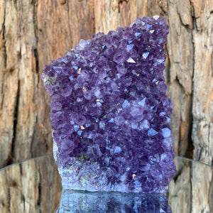 
            
                Load image into Gallery viewer, 13cm 932g Amethyst Cluster from Uruguay
            
        