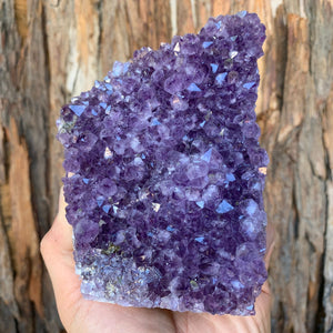 
            
                Load image into Gallery viewer, 13cm 932g Amethyst Cluster from Uruguay
            
        