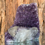 13.5cm 1.29kg Amethyst Cluster from Uruguay